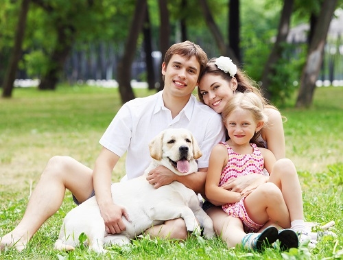 Телеканал_Animal_Family_HD_приглашает_вас_в_океанариум_Хельсинки_1.jpg