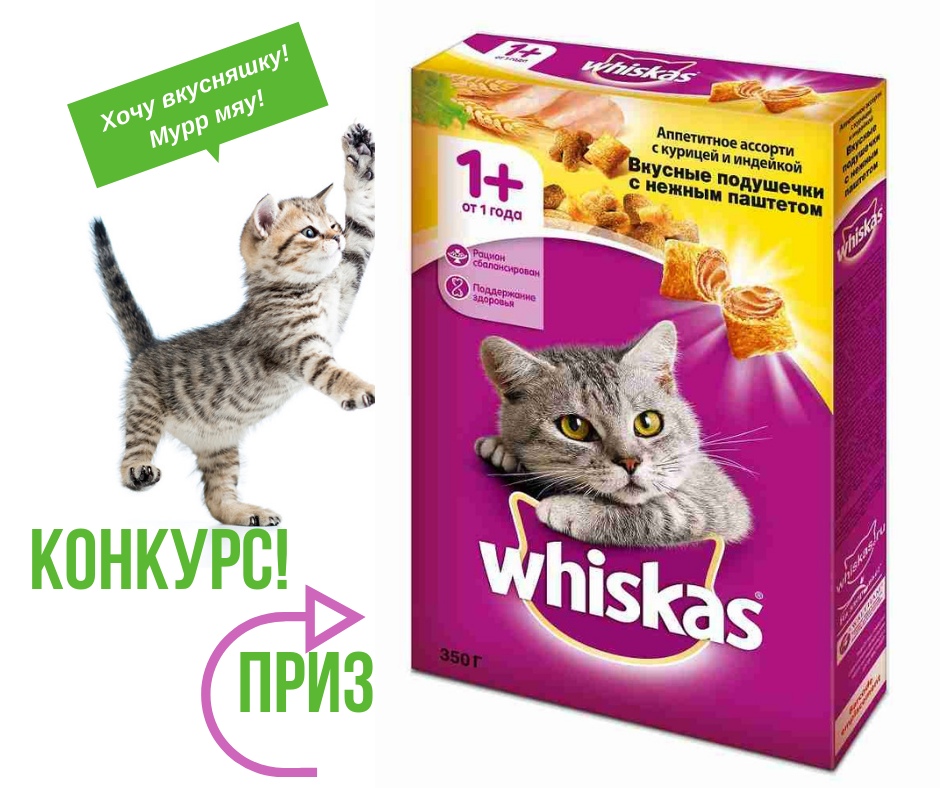 oShyvgUYFWA.jpg oShyvgUYFWA.jpg